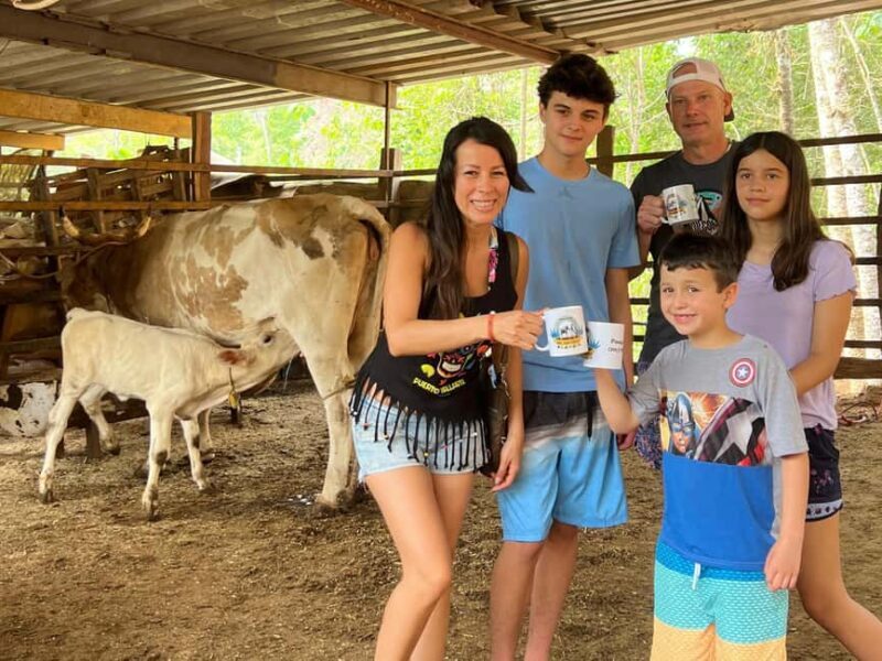 Puerto Vallarta: Hands-on Farm Experience from Cow to Cheese - An In-Depth Look at the Farm Experience