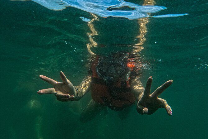 Puerto Vallarta : Hidden Beaches & Adventure Park - Practical Details: Transport, Timing, and Cost