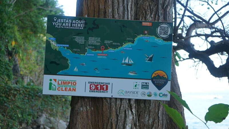 Puerto Vallarta: Hidden Beaches and Sea Adventures - Puerto Vallarta: Hidden Beaches and Sea Adventures — A Detailed Look