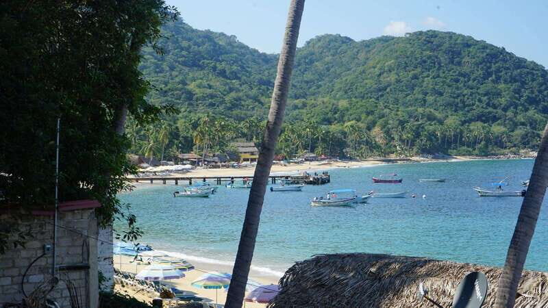 Puerto Vallarta: Hidden Beaches and Sea Adventures - What Makes This Tour Stand Out?