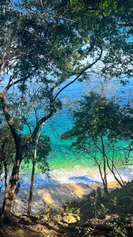 Puerto Vallarta: Hiking Trail, 6 Hidden Beaches & Zipline. - Lunch and Relaxation at Las Animas Beach