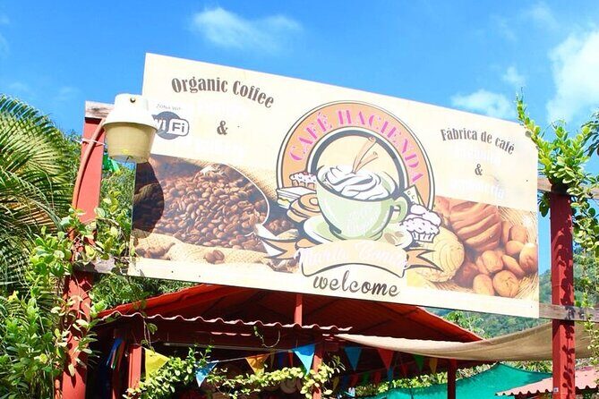 Puerto Vallarta History and Culture with Flavors Discovery - Who Should Book This Tour?