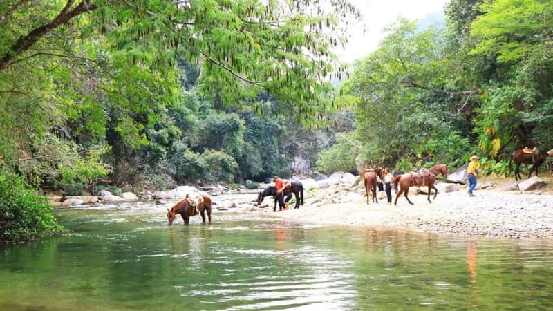 Puerto Vallarta: Horseback Riding Adventure at Canopy River - FAQ