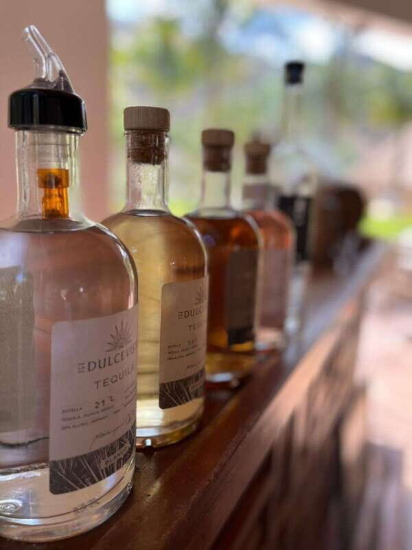 Puerto Vallarta: Horseback Riding at Hacienda Doña Engracia - Practical Details and Considerations