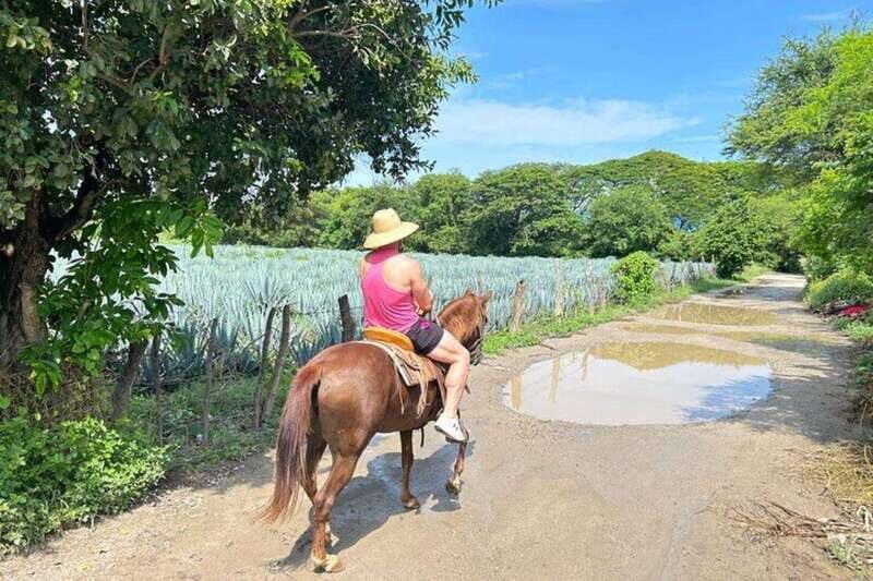 Puerto Vallarta: Horseback Riding at Hacienda Doña Engracia - FAQ