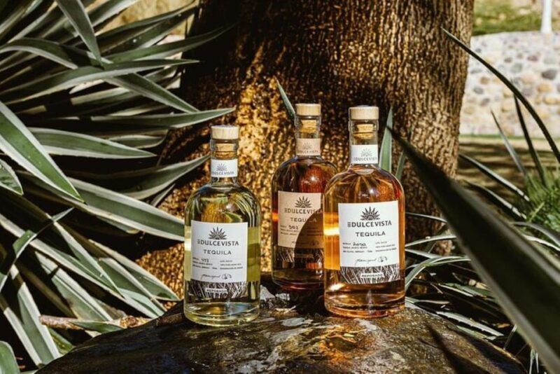 Puerto Vallarta: Horseback Riding, Lunch & Unlimited Drinks - Tequila Tasting