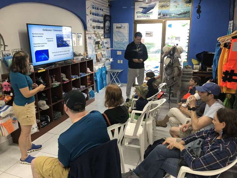 Puerto Vallarta: Humpback Whale Research Adventure Tour - Setting the Scene: What the Tour Is All About