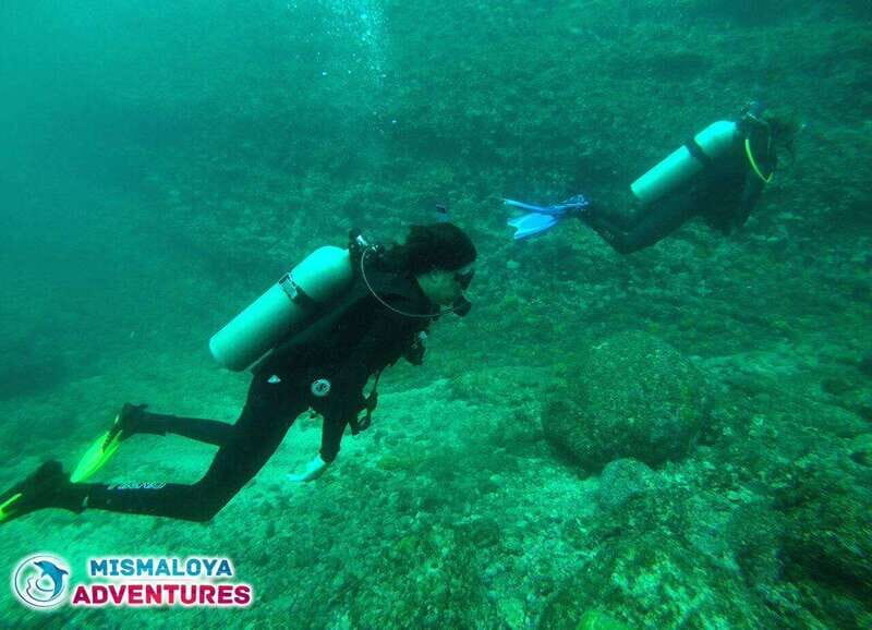 Puerto Vallarta: Los Arcos de Mismaloya, diving for beginners. - Who Should Consider This Experience?