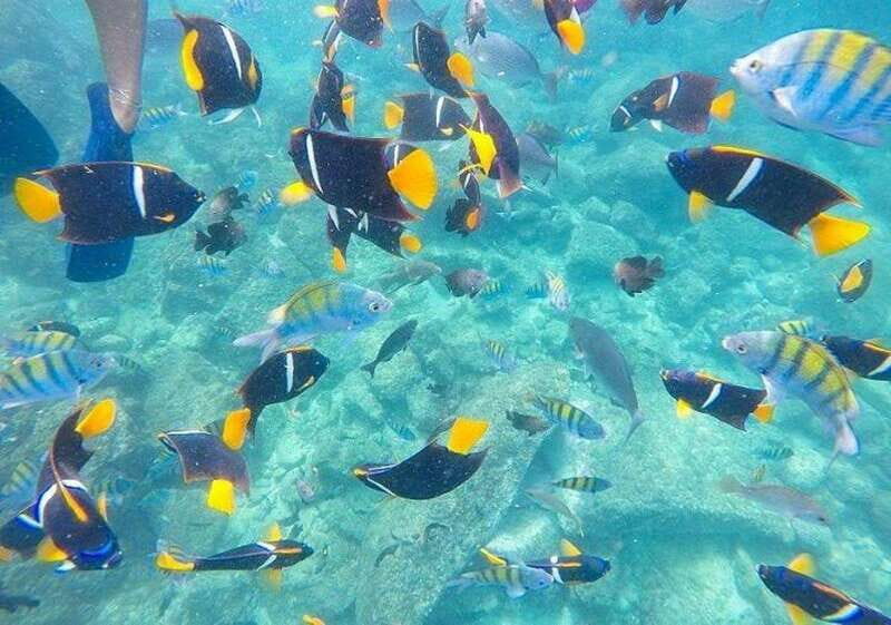 Puerto Vallarta: Majahuitas Tour With Lunch and Open Bar - Final Thoughts