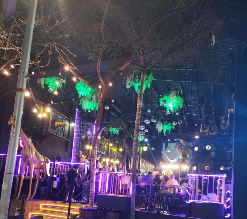 Puerto Vallarta: Malecon and Romantic Zone Nightlife Tour - What’s Not Included and What to Prepare