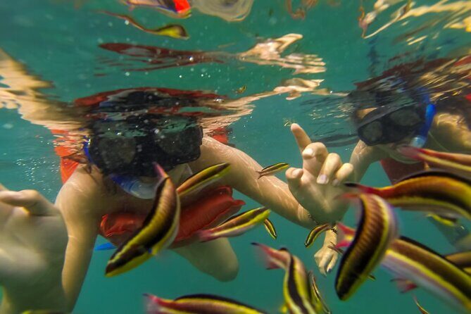 Puerto Vallarta: Marietas Islands with Open Bar and Food - Water Activities at Islas Marietas