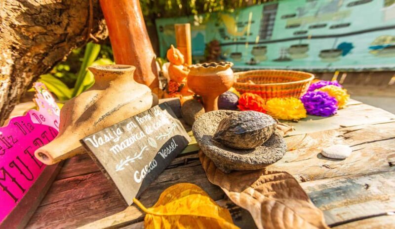 Puerto Vallarta: Mexican Cooking Class, Pueblos, & Food Tour - What You Can Expect on This Food & Culture Tour