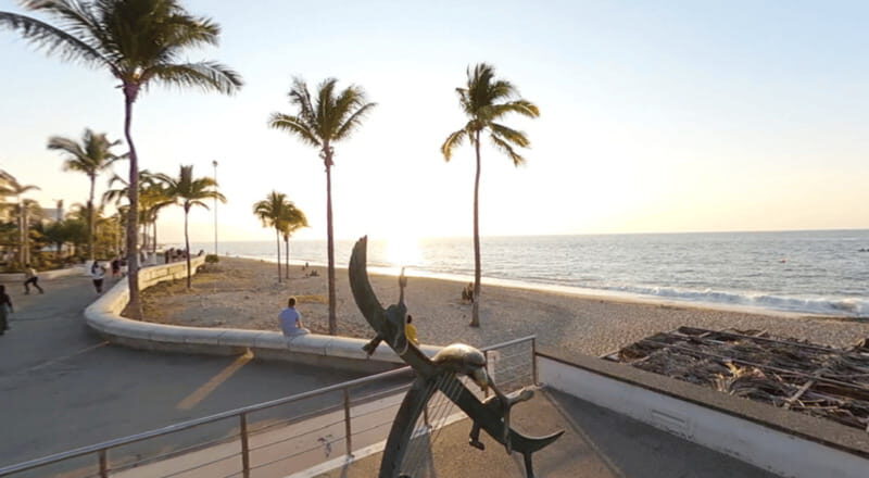 Puerto Vallarta: Parasailing Experience - Key Points