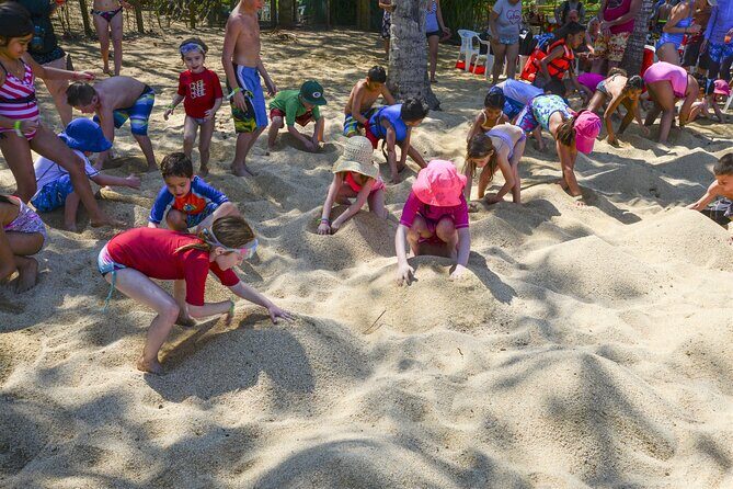 Puerto Vallarta Pirate Premium Sailing Cruise - The Sum Up