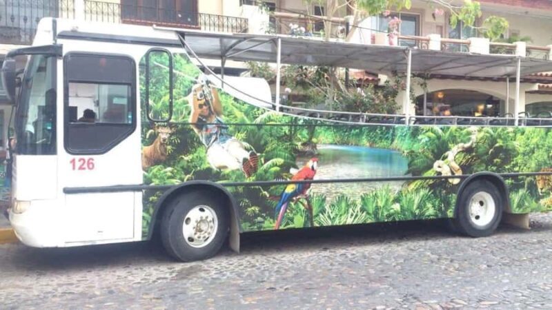 Puerto Vallarta: Predator Zipline & Jungle Adventure - The Sum Up