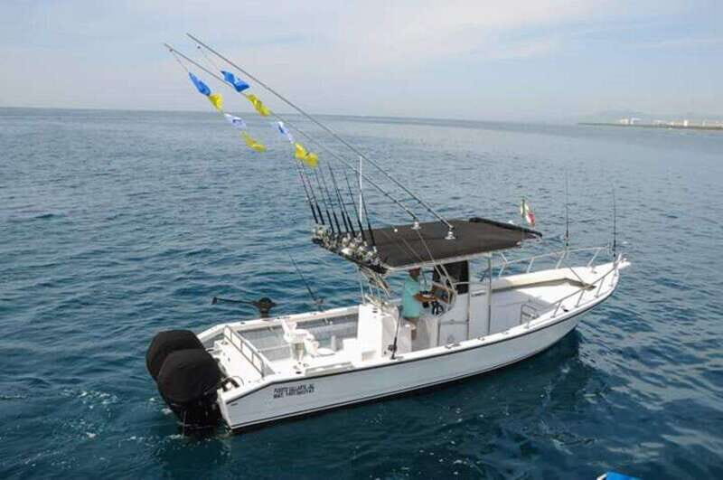 Puerto Vallarta: Private Ocean Adventure - Exploring the Experience in Detail