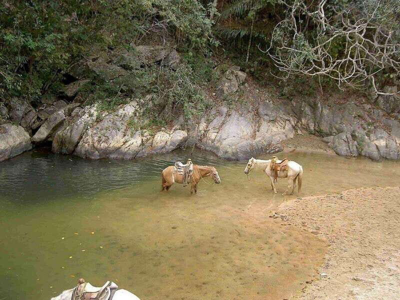 Puerto Vallarta: Private Tour Hiking Quimixto Waterfall - Key Points