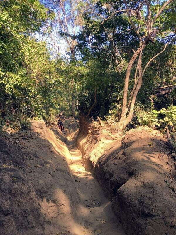 Puerto Vallarta: Private Tour Hiking Quimixto Waterfall - Who Is This Tour Best For?