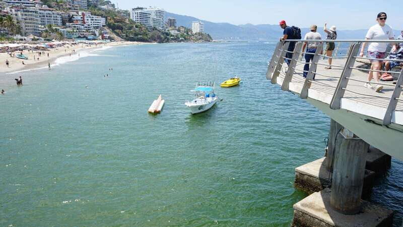 Puerto Vallarta: Puerto Vallarta and Tequila Tasting - What You Can Expect from the Tour