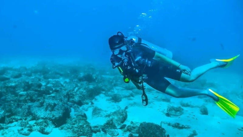 Puerto Vallarta: Scuba Dive at Los Arcos - What You Can Expect from the Tour