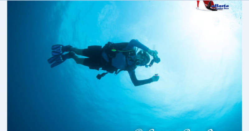 Puerto Vallarta: Scuba Diving en el Morro - A Closer Look at the Puerto Vallarta: Scuba Diving en el Morro Tour