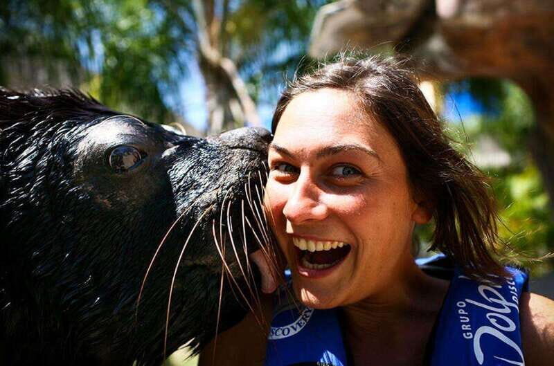 Puerto Vallarta: Sea Lion Discovery at Aquaventuras Park - Key Points