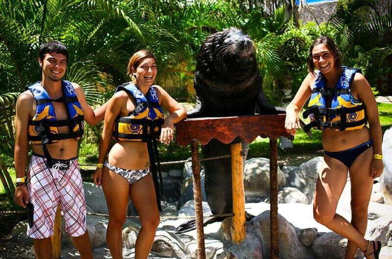 Puerto Vallarta: Sea Lion Discovery at Aquaventuras Park - What You Can Expect from the Tour