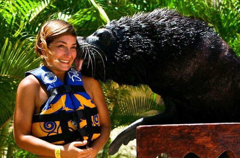 Puerto Vallarta: Sea Lion Discovery at Aquaventuras Park - How This Tour Offers Value