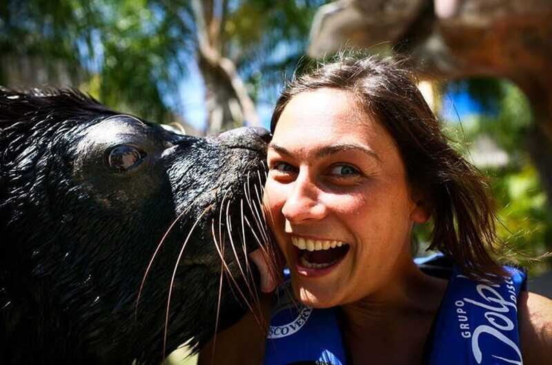 Puerto Vallarta: Sea Lion Discovery at Aquaventuras Park - Who This Tour Is Best For