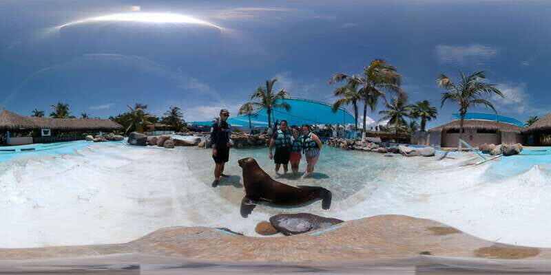 Puerto Vallarta: Sea Lion Discovery - What to Expect from the Sea Lion Discovery Tour
