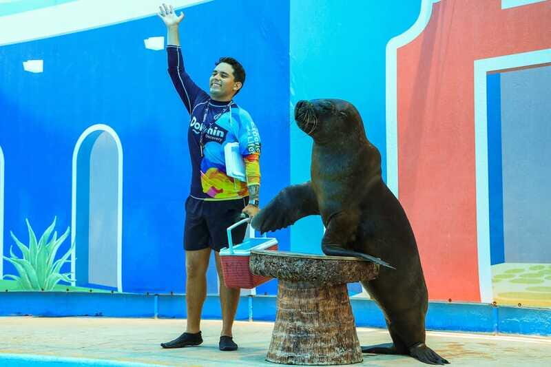 Puerto Vallarta: Sea Lion Discovery - FAQ