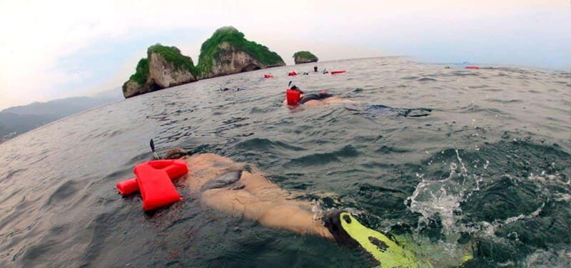Puerto Vallarta: Snorkel Adventure at Los Arcos - What to Expect from the Snorkel Adventure at Los Arcos