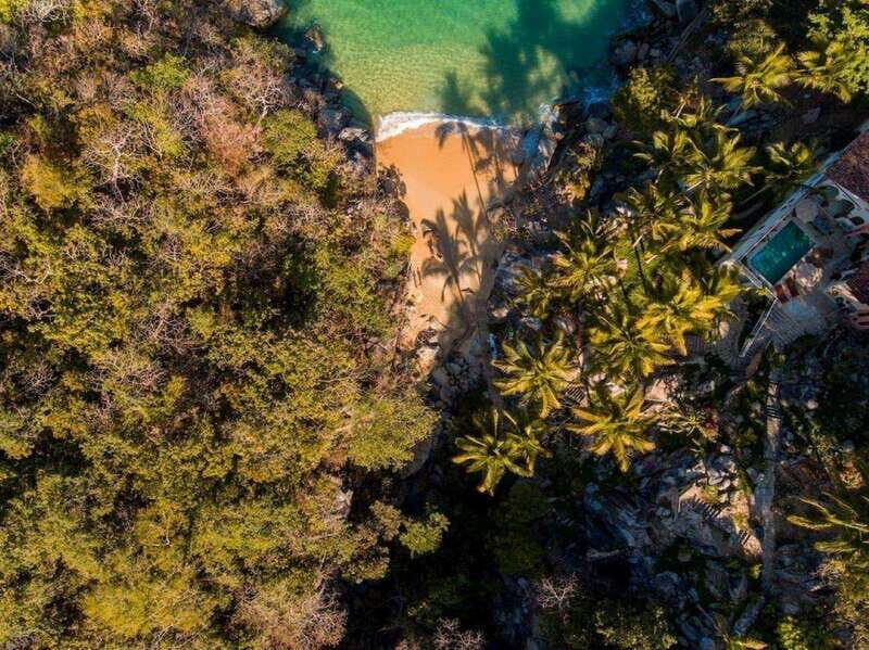 Puerto Vallarta: The Predator of the Sea - The Pros & Cons