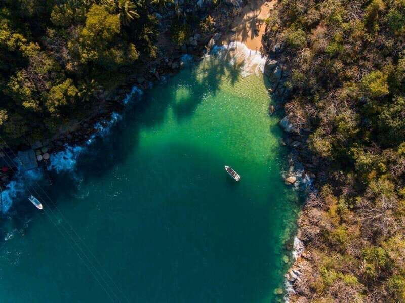 Puerto Vallarta: The Predator of the Sea - Final Thoughts