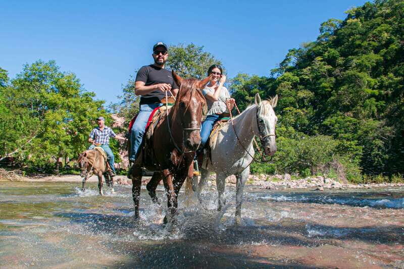 Puerto Vallarta: Tropical Forest Horseback Riding Adventure - What to Expect from the Horseback Riding Tour