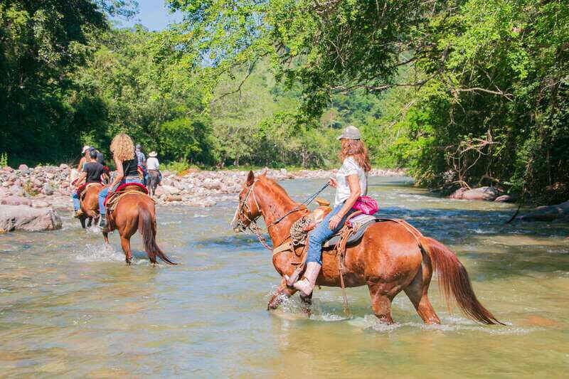 Puerto Vallarta: Tropical Forest Horseback Riding Adventure - Final Thoughts
