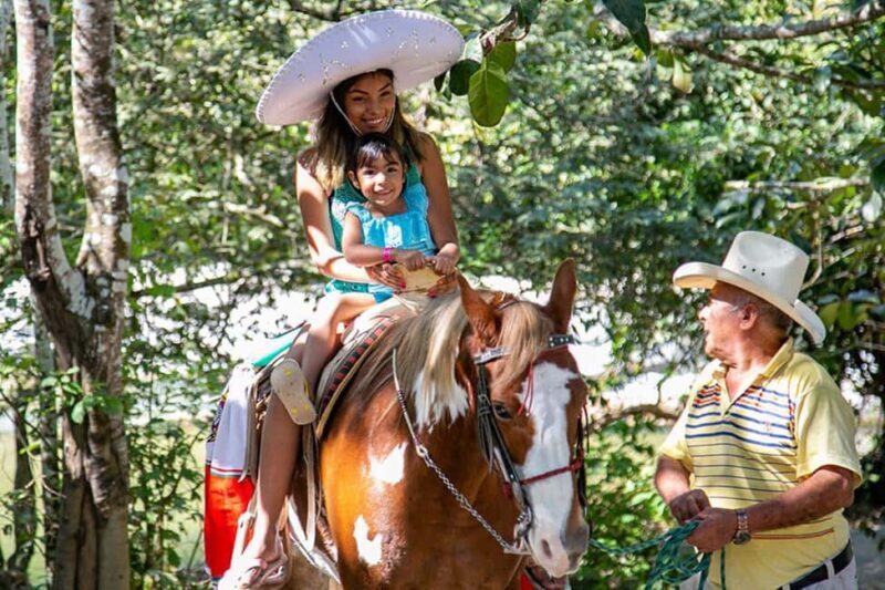 Puerto Vallarta: Tropical Tour - Practical Details: What You Need to Know