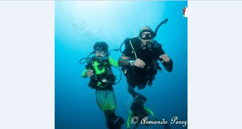 Puerto Vallarta: Underwater Wonderland at Los Arcos - Final Thoughts