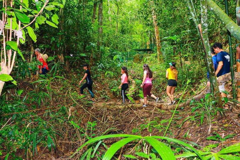 Puerto Vallarta: Vallarta's Botanical Garden by Sea or Land - Key Points