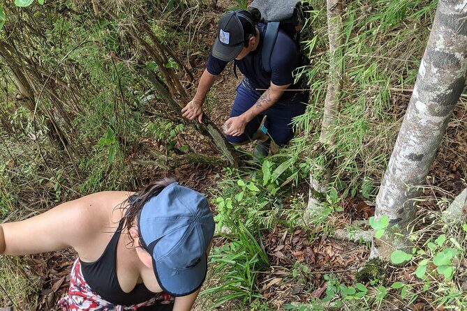 Puerto Vallarta Waterfall Hike - The Real Deal: What Travelers Say