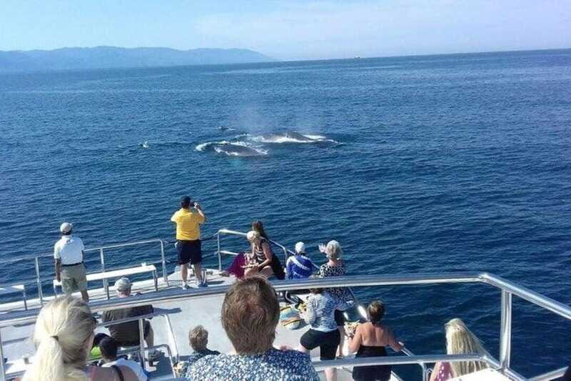 Puerto Vallarta: Whale Watching Beach Bay - FAQs