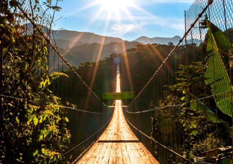 Puerto Vallarta: ZipLine for Cruise Ship Passengers - Pros and Cons