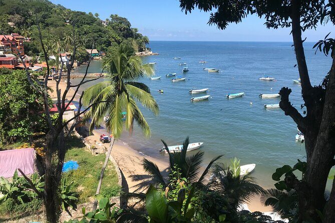 Puerto Vallarta's Yelapa Boat & Walking Tour with Tequila Tasting - Tequila Tasting in Puerto Vallarta