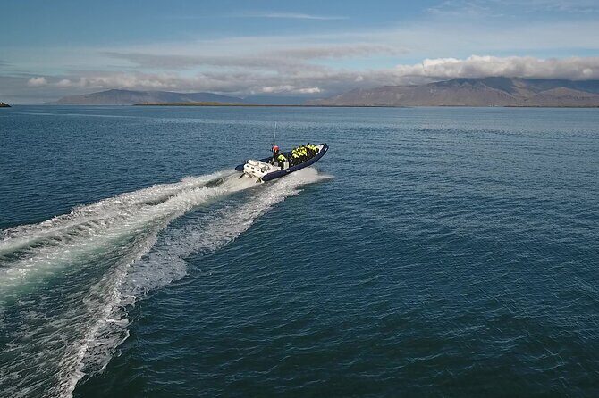 Puffin Express by RIB Speedboat from Reykjavík - The Experience in Detail