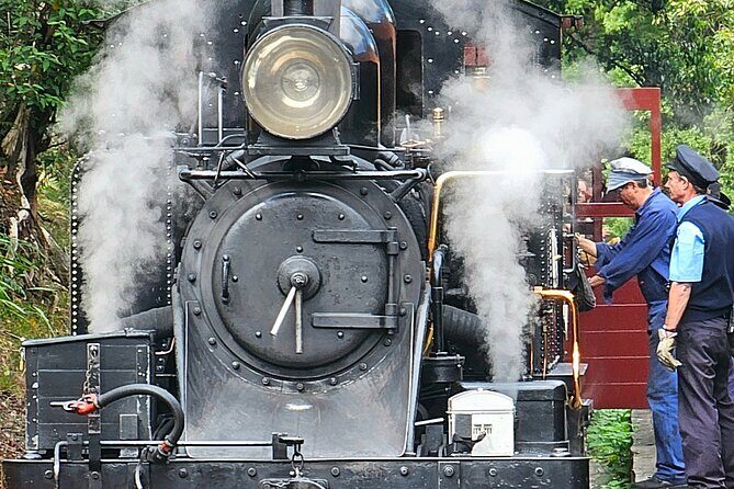 Puffing Billy and The Dandenong Ranges Private Experience - Why Choose This Tour?