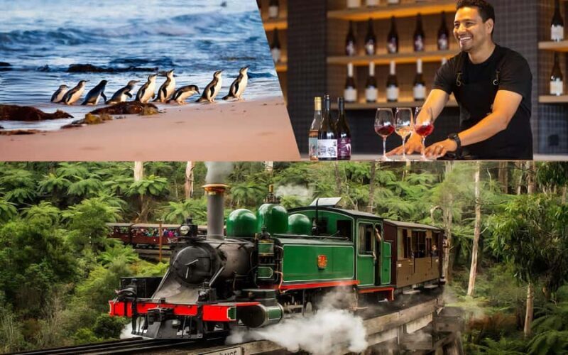 Puffing Billy Penguin Parade Mercedes Minibus Hotel Pickup - Frequently Asked Questions