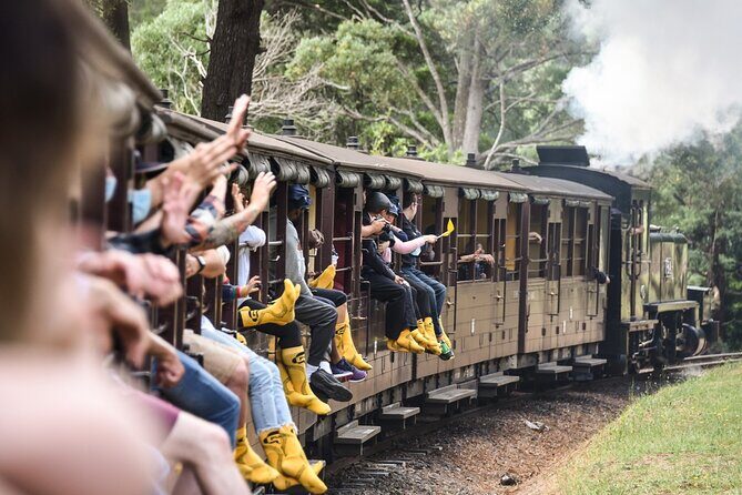 Puffing Billy Steam Train and Penguins Wildlife Tour - Introduction