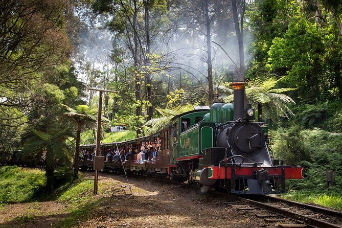 Puffing Billy Steam Train and Penguins Wildlife Tour - Key Points