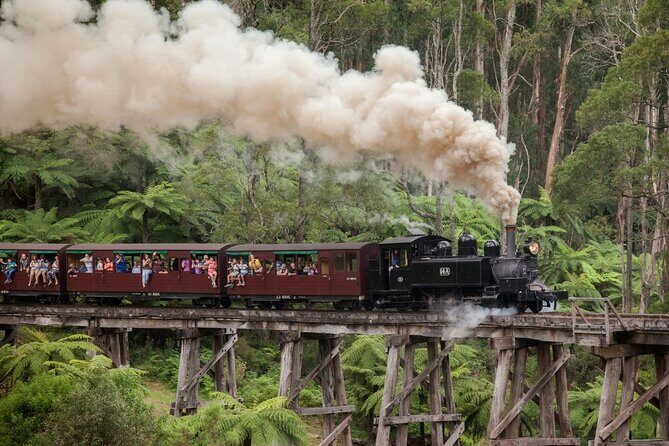 Puffing Billy Steam Train Experience - The Experience for Travelers