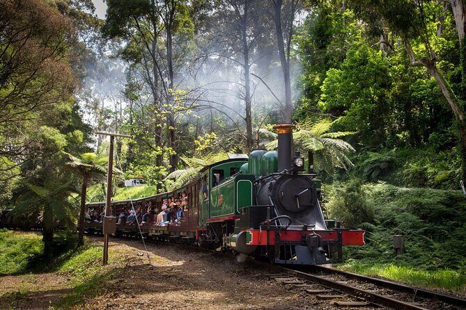 Puffing Billy Steam Train Experience - Final Thoughts